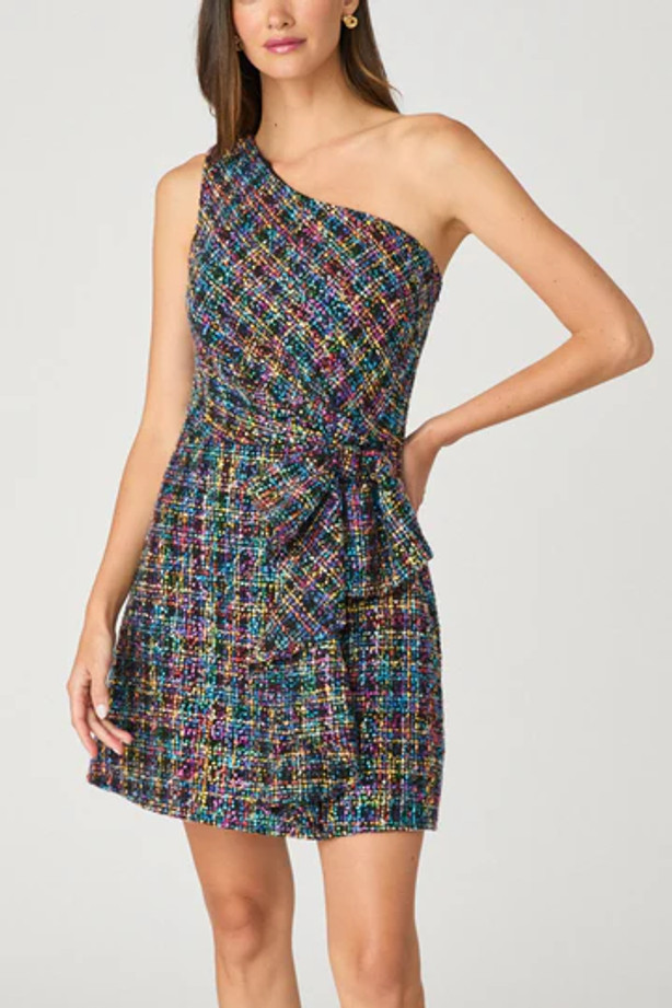 Zoie Dress - Multi