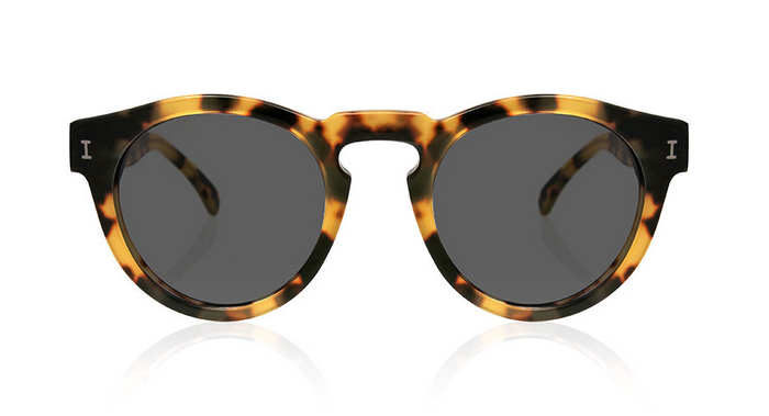 Leonard in Tortoise Leonard in Tortoise