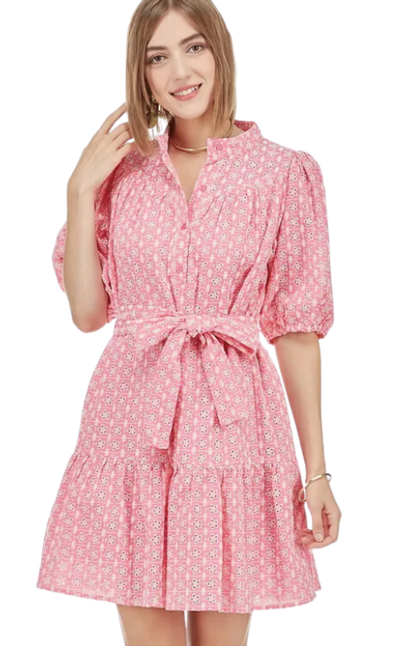 Half Sleeve Belted Embroidered Dress in Pink