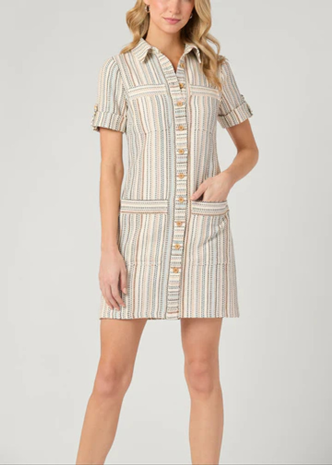 Ila Dress - Multi Stripe