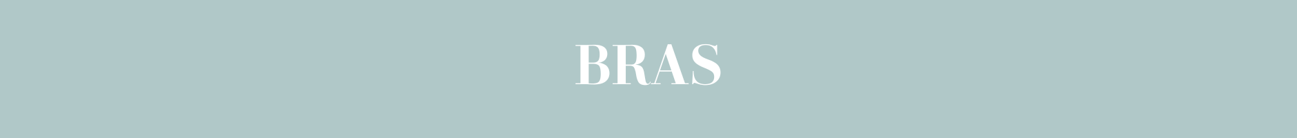 bras-web-banner.png