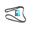 ERR5579D - Defender/Discovery 1 Alternator Drive Belt | Dayco from JGS4x4