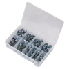 Mini Hose Clip Assortment 100pc