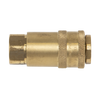 PCL Non-Corrodible Coupling Body Female 1/4"BSPT