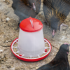 Poultry Feeder 1.5kg - Pack of 5