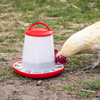 Poultry Feeder 3kg