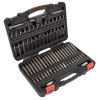 Premier TRX-Star*/Security TRX-Star*/Hex/Ribe/Spline Bit Set 3/8" & 1/2"Sq Drive 74pc