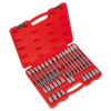 Premier Ribe Socket Bit Set 1/2"Sq Drive 32pc