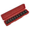 Premier TRX-Star* Female Impact Socket Set 1/2"Sq Drive 10pc