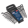 Premier Extra-Long Combination Ratchet Spanner Set 10pc