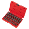 Multi-Spline Screw Extractor Set 25pc