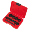 Spanner Type Bolt Extractor Set 11pc