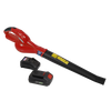 SV20 Series Cordless Leaf Blower with 20V 2Ah Battery & Charger