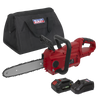 SV20 Series 25cm Cordless Chainsaw Kit 20V 4Ah