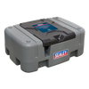 Portable Diesel Tank 200L 12V