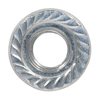 Zinc Plated Serrated Flange Nut M12 - Pack of 50