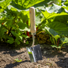 Premier Hand Trowel Hand Trowel with Ash Handle & Stainless Steel Blade