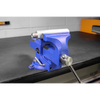 Quick Action SG Iron Vice with Swivel Base 100mm