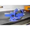 Quick Action SG Iron Vice with Swivel Base 100mm