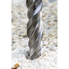Worksafe® SDS Plus Drill Bit 8 x 310mm