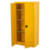 Hazardous Substance Cabinet - FSC03