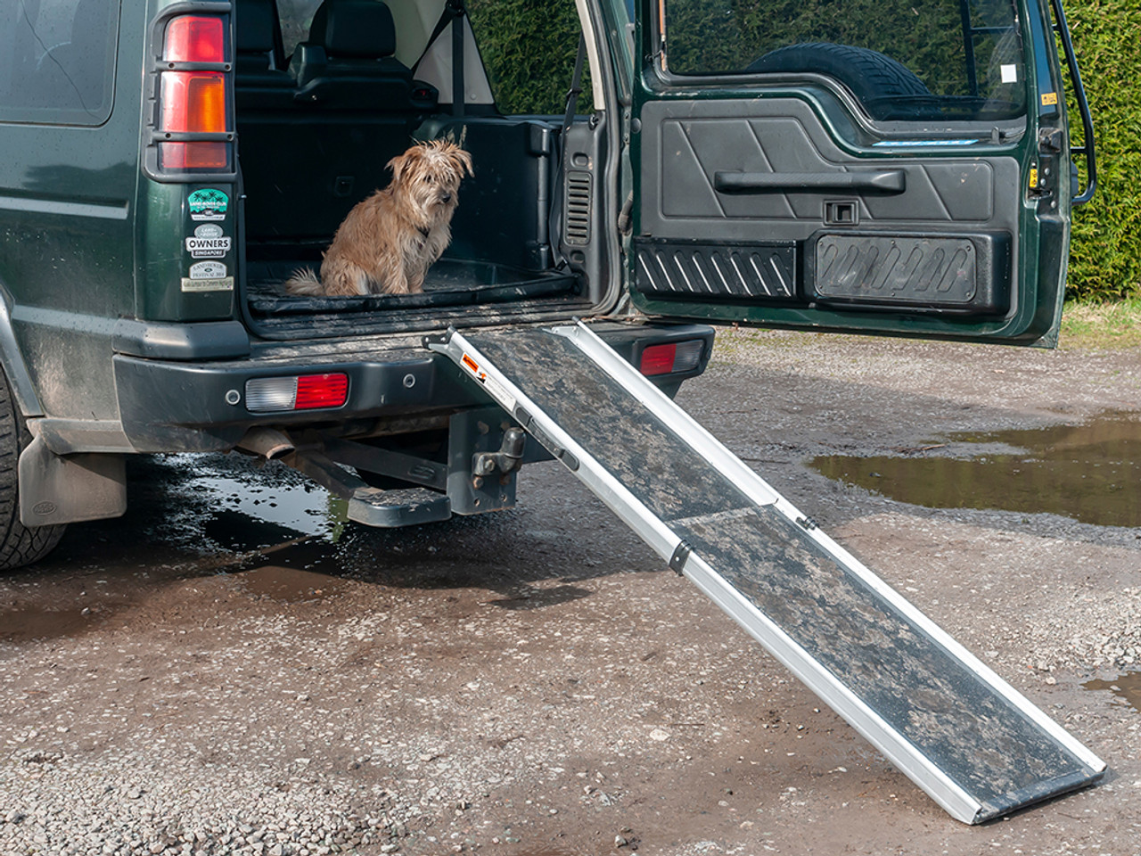 Dog ramp discount for van