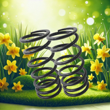Feels Like Spring Around the Corner!