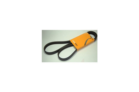 PQS100851G - Freelander 1 2.0 Tcie Rover Diesel Auxiliary Drive Belt - With Air Conditioning | Dayco from JGS4x4