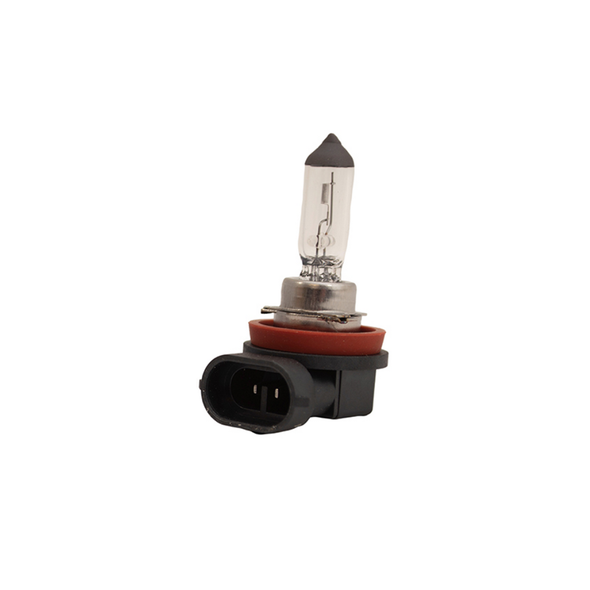 Halogen Headlight Bulb H11 12V/55W from JGS4x4