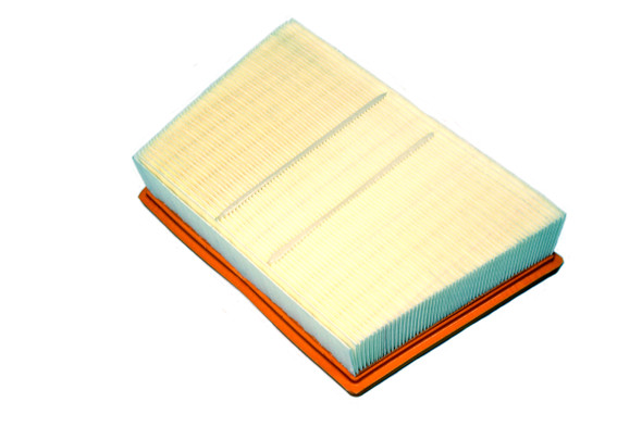 Petrol Diesel Air Filter for Range Rover Evoque and Discovery Sport - LR071942 from JGS4x4
