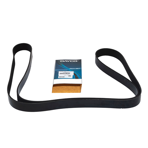 Drive Belt-PQS500370G | Dayco from JGS4x4