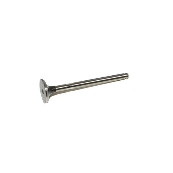 Exhaust Valve-LGH101190LG | AE from JGS4x4