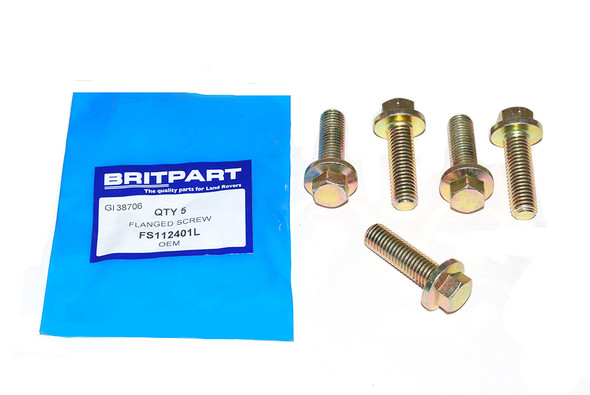 Flanged Screw-FS112401L | OEM from JGS4x4