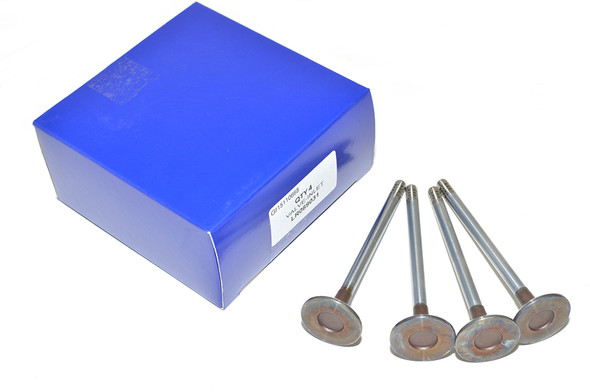 Inlet Valve-LR069031 from JGS4x4