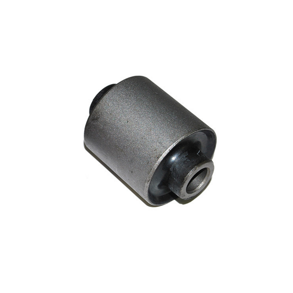 Lower Arm Bush - RBX101790G | Delphi from JGS4x4