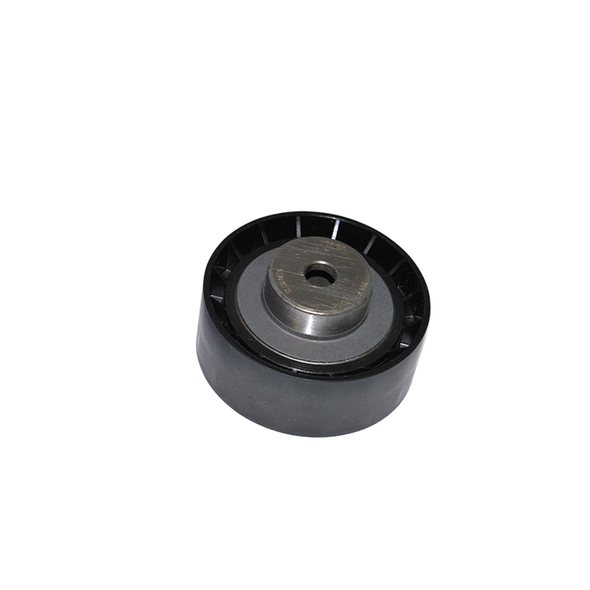 Tensioner Pulley - PQR100880G | INA from JGS4x4