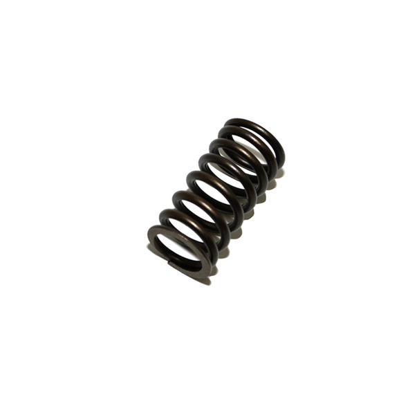 Valve Spring-LGL10008L | OEM from JGS4x4