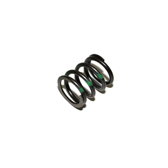 Valve Spring-LGL100430L | OEM from JGS4x4