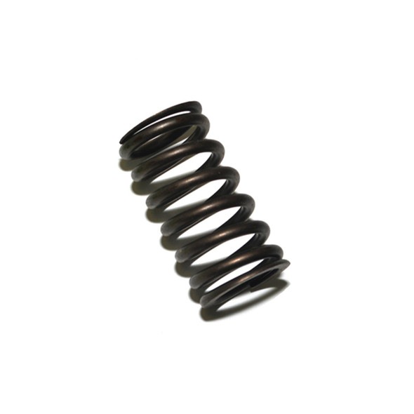 Valve Spring - LGL500050 | Genuine Land Rover from JGS4x4
