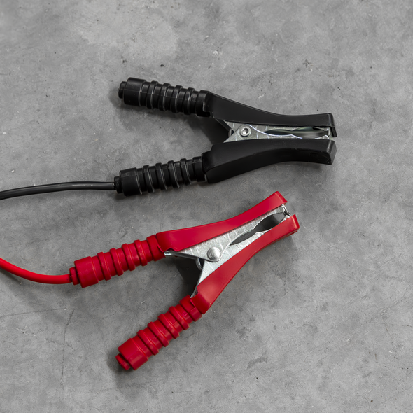 12/24V Battery Charger 19A 230V