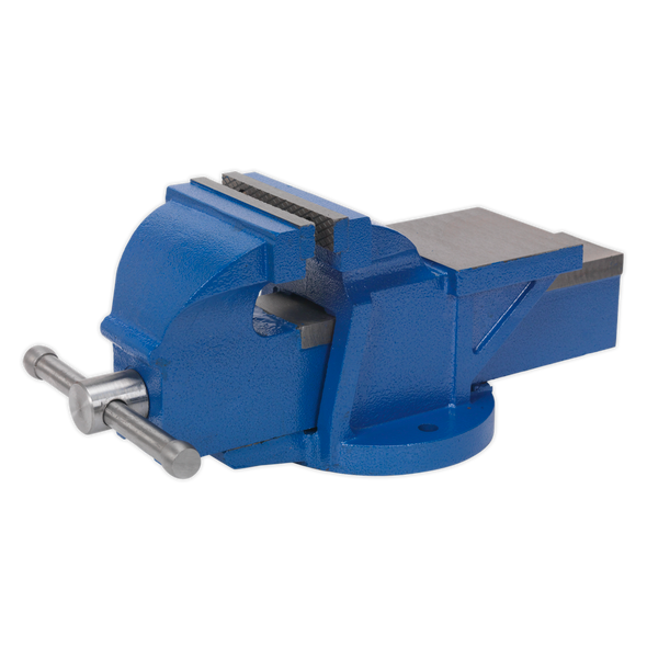 Professional Heavy-Duty Fixed Base Vice 125mm