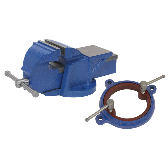 Professional Heavy-Duty Vice 100mm with Swivel Base