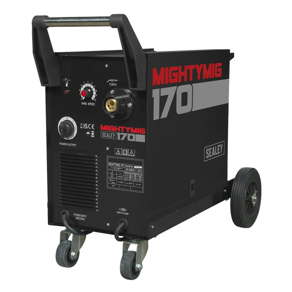 Professional Gas/Gasless MIG Welder with Euro Torch 170A