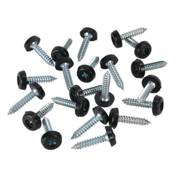Numberplate Screw with Plastic Enclosed Head 4.8 x 24mm, Black - Pack of 50
