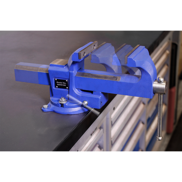 Quick Action SG Iron Vice with Swivel Base 100mm
