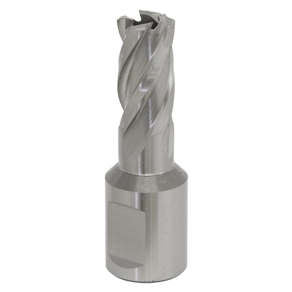 Worksafe® 12mm HSS Mag Drill Bit Cut Depth 25mm