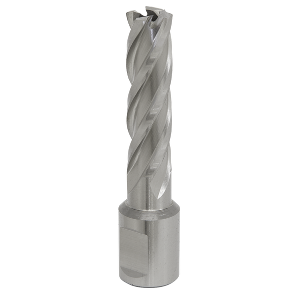 Worksafe® 15mm HSS Mag Drill Bit Cut Depth 50mm