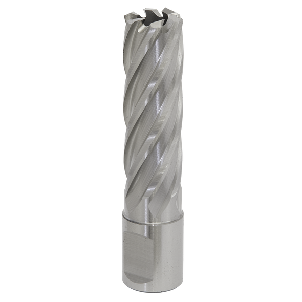 Worksafe® 18mm HSS Mag Drill Bit Cut Depth 50mm