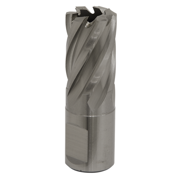 Worksafe® 19mm HSS Mag Drill Bit Cut Depth 25mm