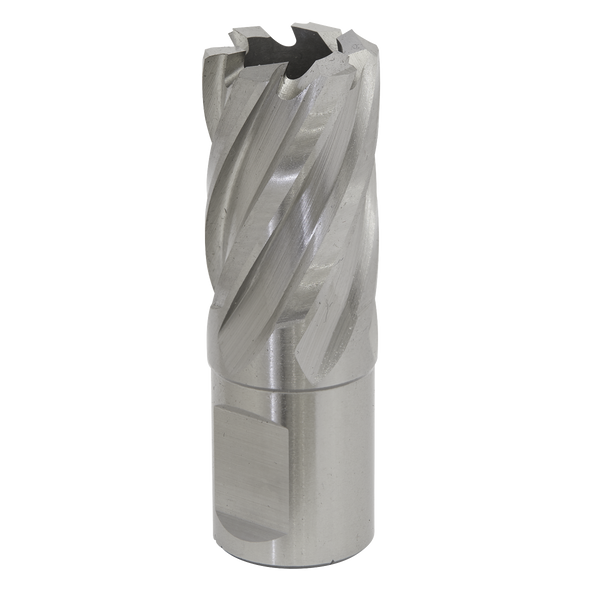 Worksafe® 21mm HSS Mag Drill Bit Cut Depth 25mm